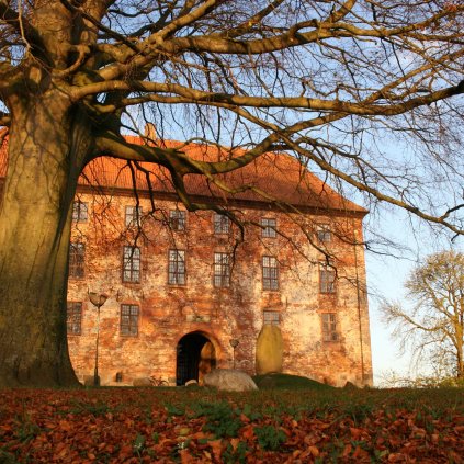 Koldinghus - historisk slot og ruin med et gormet spisested i kælderen - Madkælderen